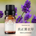 【真正薰衣草-True Lavender】單方精油 愛創造Allietare