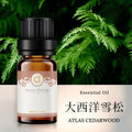 【大西洋雪松-Atlas Cedarwood】單方精油 愛創造Allietare