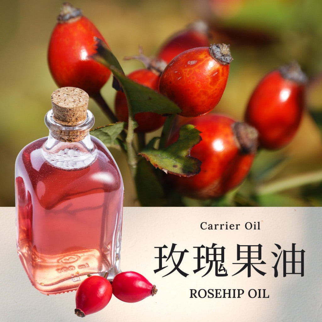 【玫瑰果油】Rosehip Oil  愛創造Allietare