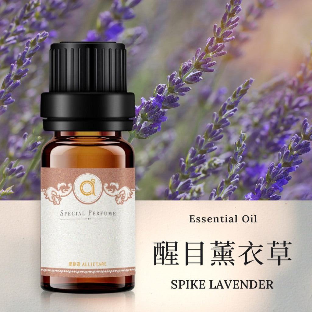 【醒目薰衣草-Spike Lavender】單方精油 愛創造Allietare