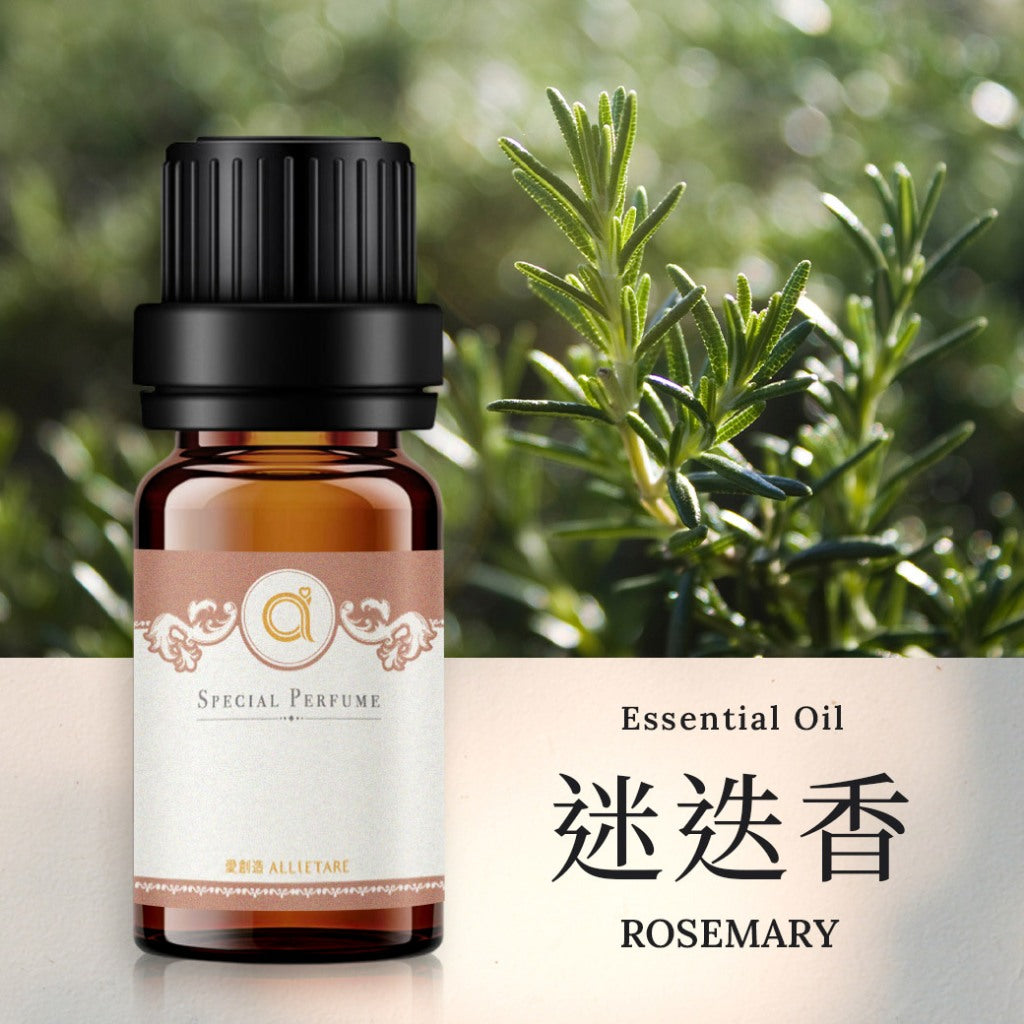 【迷迭香-Rosemary】單方精油 愛創造Allietare