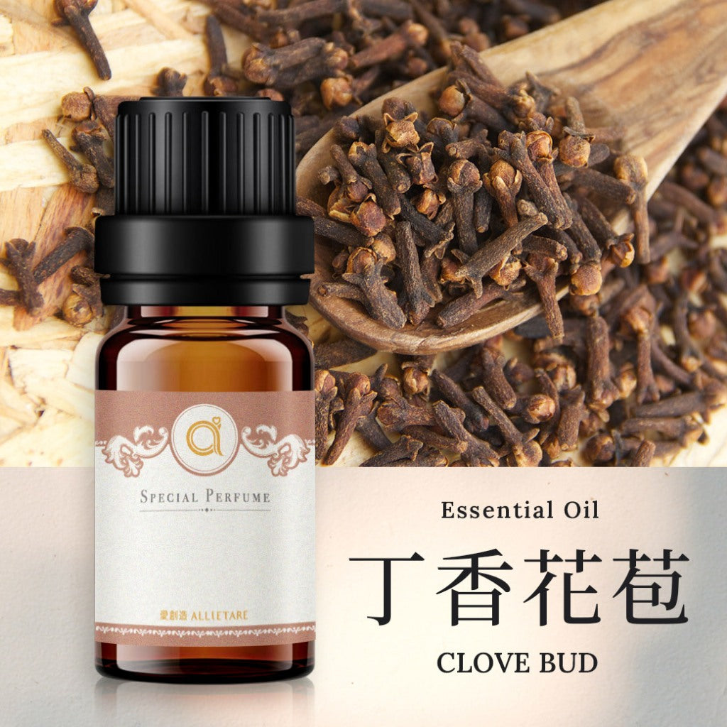 【丁香花苞-Clove Bud】單方精油 愛創造Allietare