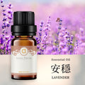 【安穩-薰衣草】Peace-Lavender 複方精油 愛創造Allietare