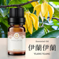 【伊蘭伊蘭-Ylang Ylang】單方精油 愛創造Allietare