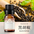 【黑胡椒-Black Pepper】單方精油 愛創造Allietare