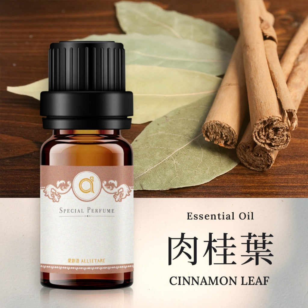【肉桂葉-Cinnamon Leaf】單方精油 愛創造Allietare