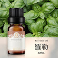 【羅勒-Basil】單方精油 愛創造Allietare