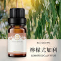 【檸檬尤加利-Lemon Eucalyptus】單方精油 愛創造Allietare