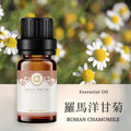 【羅馬洋甘菊-Roman Chamomile】單方精油 愛創造Allietare