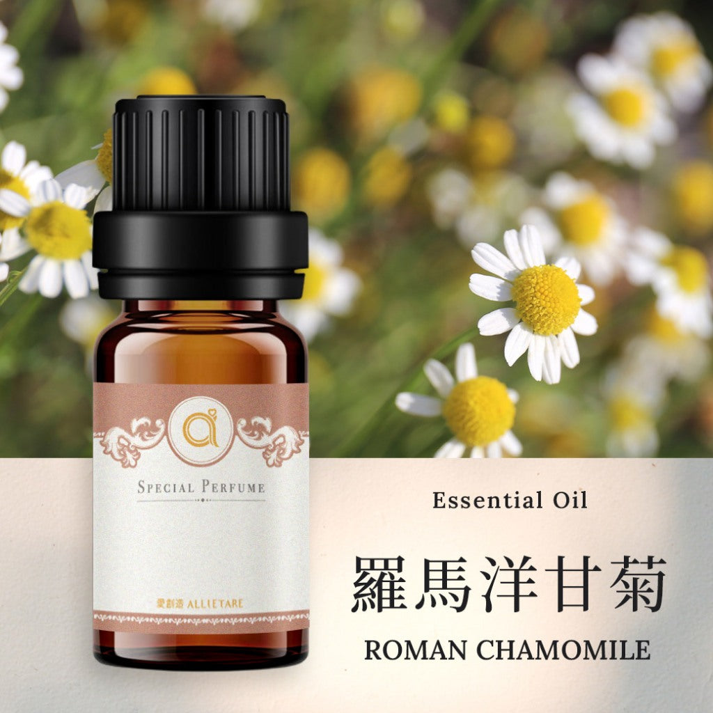 【羅馬洋甘菊-Roman Chamomile】單方精油 愛創造Allietare