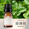 【藍膠尤加利-Eucalyptus Globulus】單方精油 愛創造Allietare