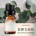 【藍膠尤加利-Eucalyptus Globulus】單方精油 愛創造Allietare