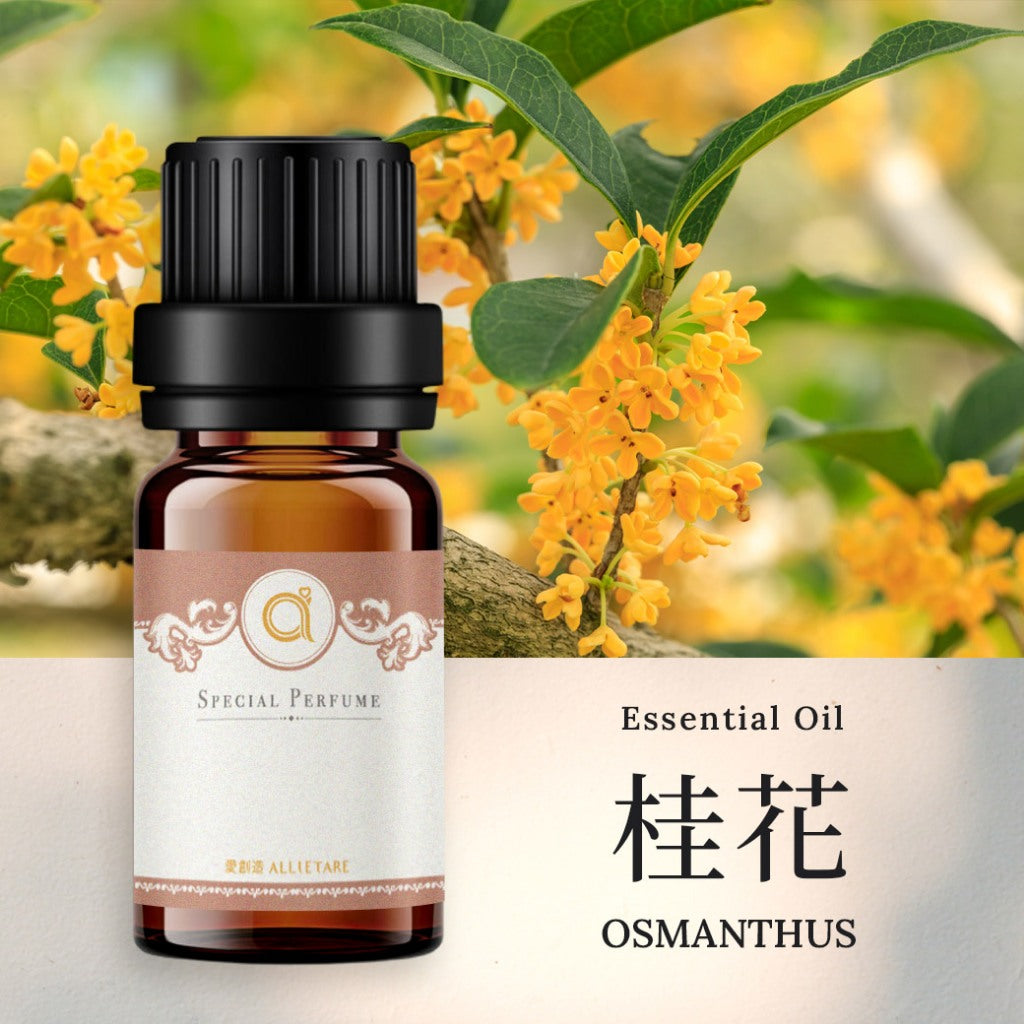 【桂花-Osmanthus】單方精油 愛創造Allietare