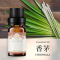 【綠薄荷-Spearmint】單方精油 愛創造Allietare